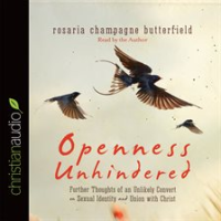 Openness_Unhindered